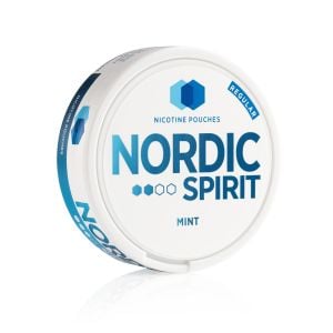 Mint Nicotine Pouches | 6mg